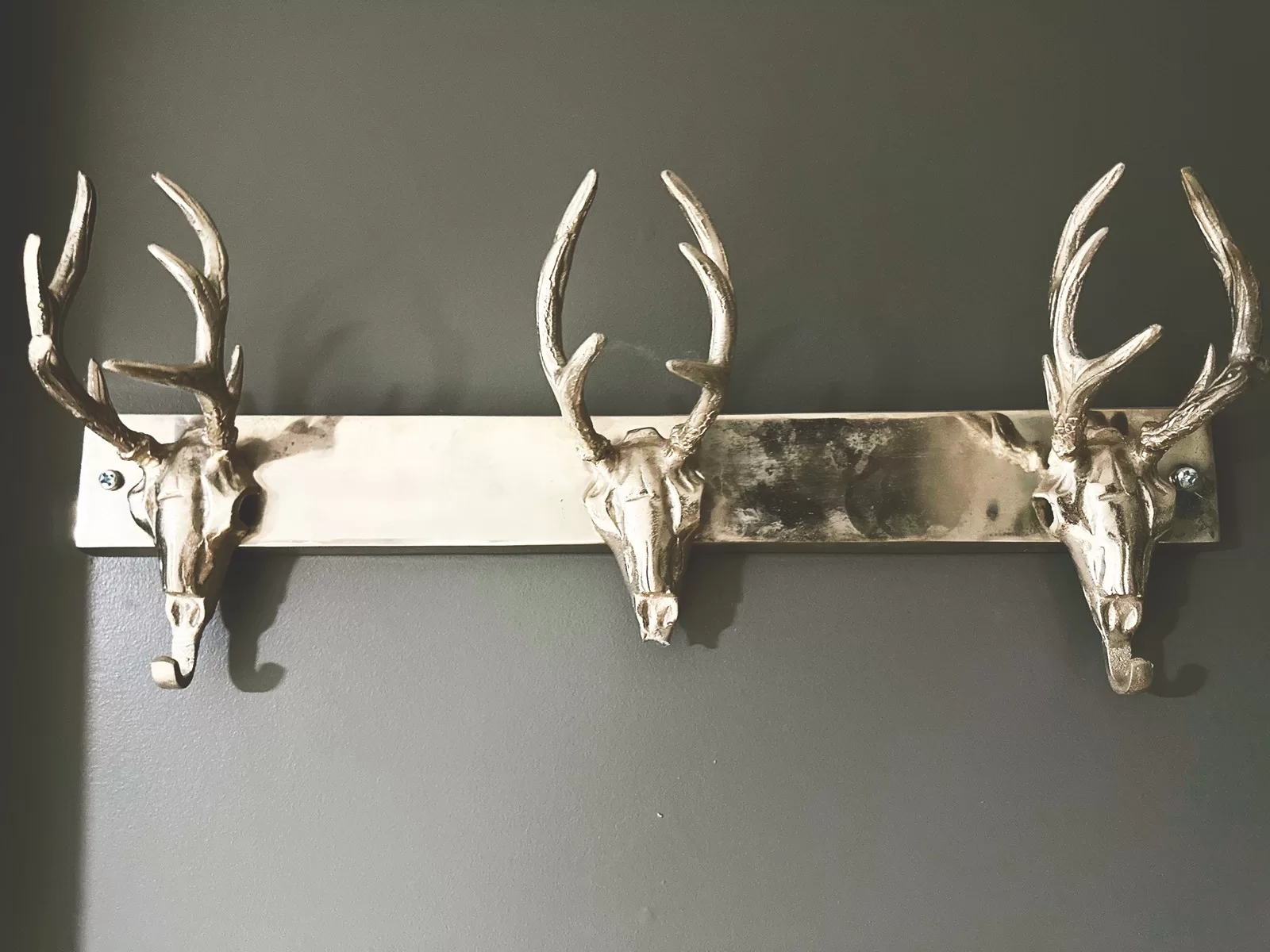 Chrome antler coat rack