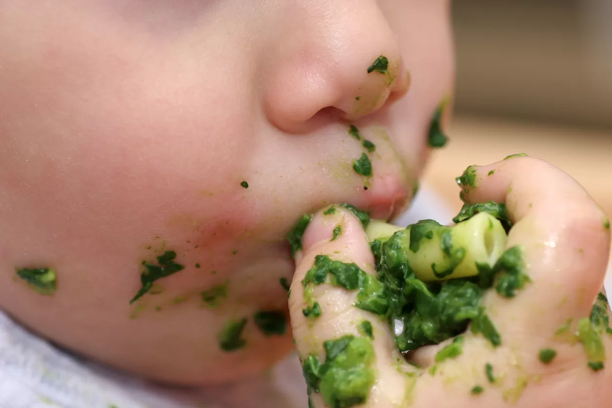 closeup shot of baby boy eating