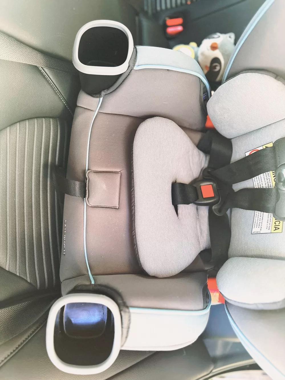 Graco Vs Evenflo Convertible Car Seat Comparison Tested Briana Natural