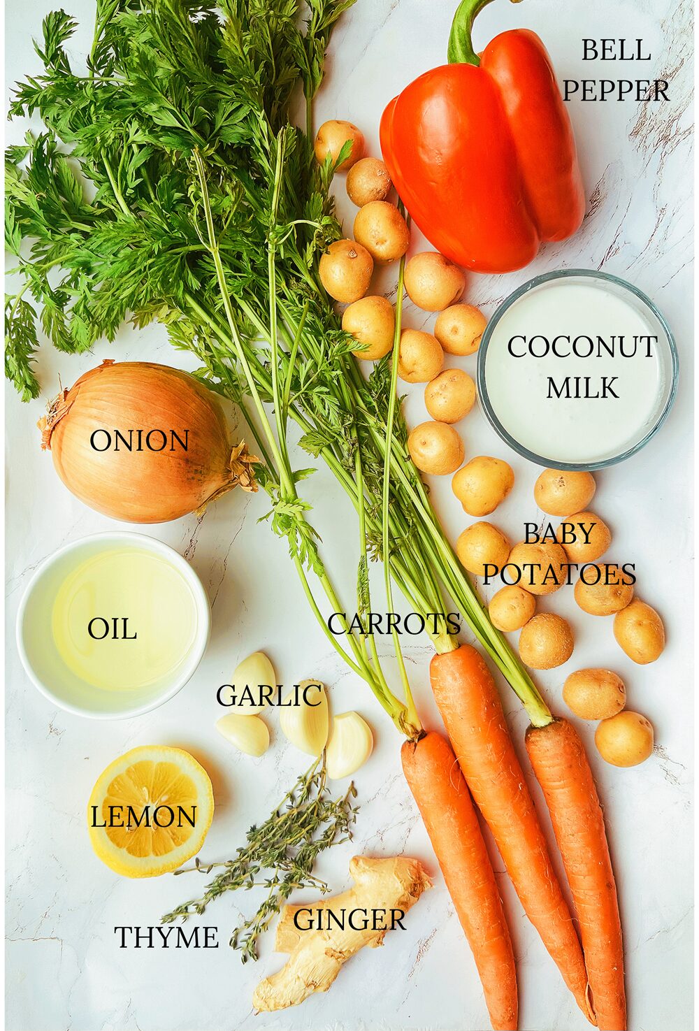 ingredients for jamaican chicken curry