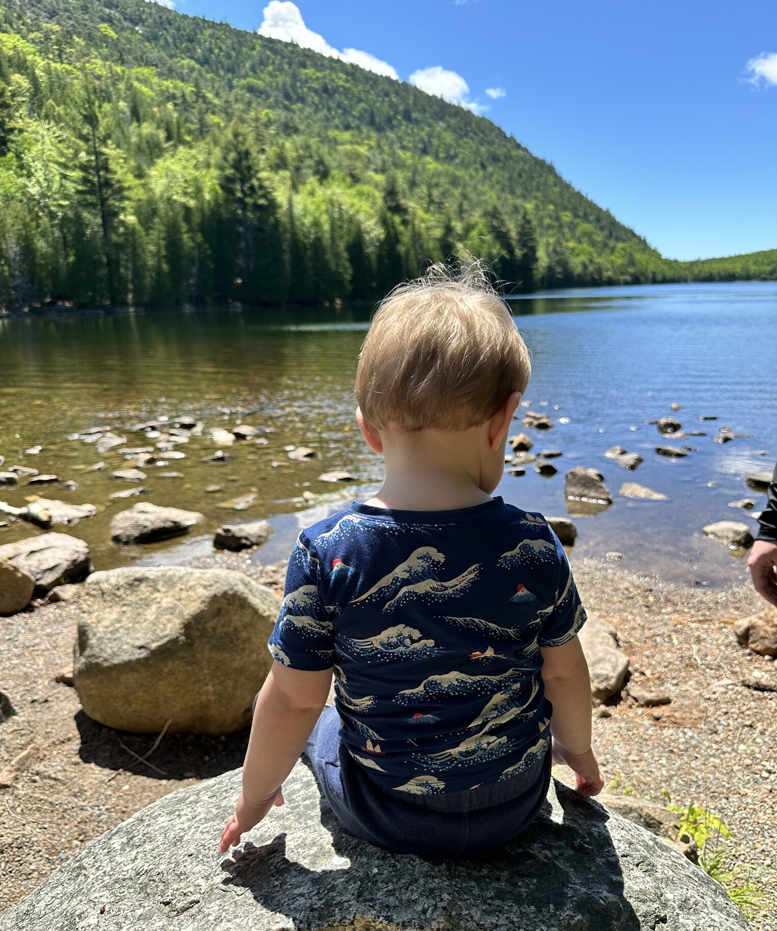 toddler facing a lake sitting on a rock