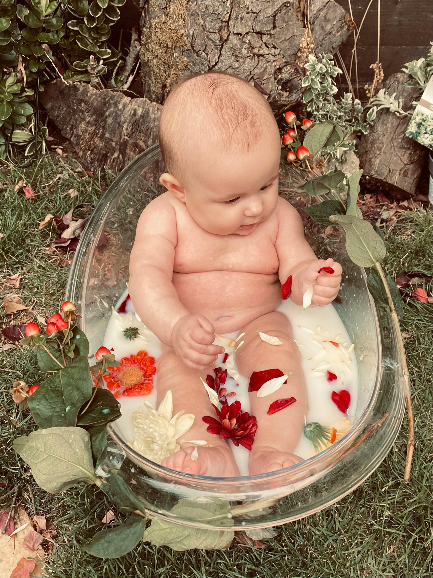 baby in a soapy bath outdoors with flowers in the bath