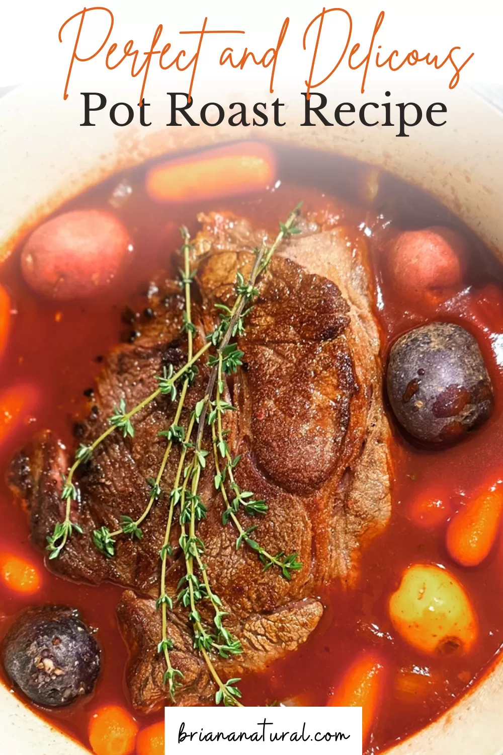 How to Make the Perfect Pot Roast - Briana Natural